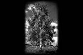 фото анонса товара пейзаж 5