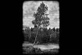 фото анонса товара пейзаж 2